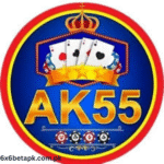 AK55 Game
